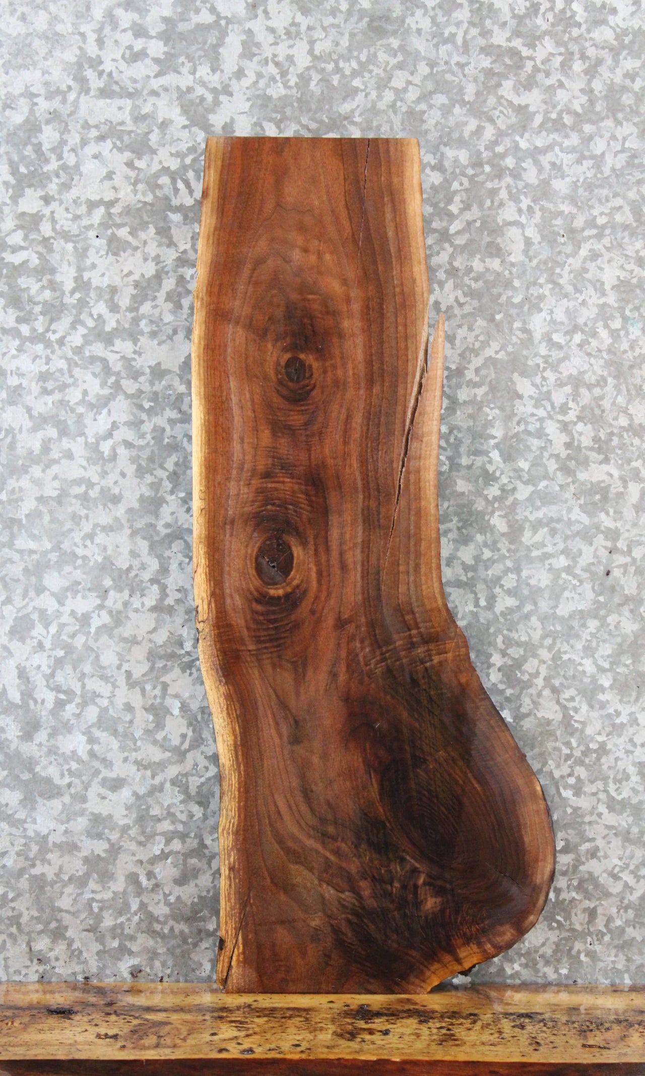 Live Edge Black Walnut Side Table Top/Taxidermy Mount Slab 5321