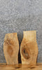 Thumbnail for 2- Live Edge Reclaimed Maple Wall Clock/Taxidermy Mount Slabs 5322-5323