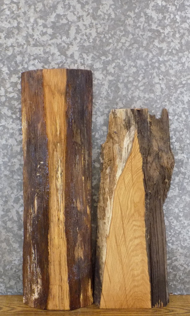 2- Natural Edge White Oak Rustic Accent/End Table Top Slabs 5329-5330