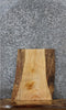 Thumbnail for Ash Live Edge Charcuterie/End Table Slab 5337