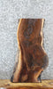 Thumbnail for Figured Black Walnut Live Edge Taxidermy Mount/Coffee Table 5339