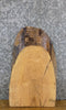 Thumbnail for Live Edge Ash Entry/End/Side Table Top Wood Slab CLOSEOUT 5340
