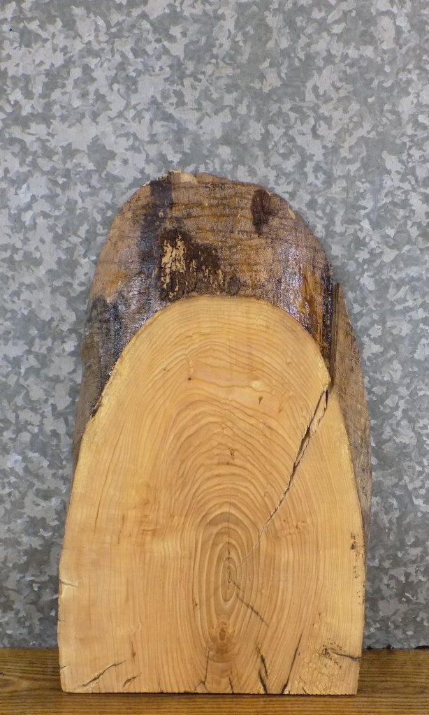 Live Edge Ash Entry/End/Side Table Top Wood Slab CLOSEOUT 5340