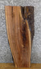 Thumbnail for Rustic Live Edge Black Walnut Side/End/Entry Table Top Slab 5343