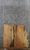 Thumbnail for 2- Live Edge Spalted Maple Taxidermy Mounts/End Table Tops 5344-5345