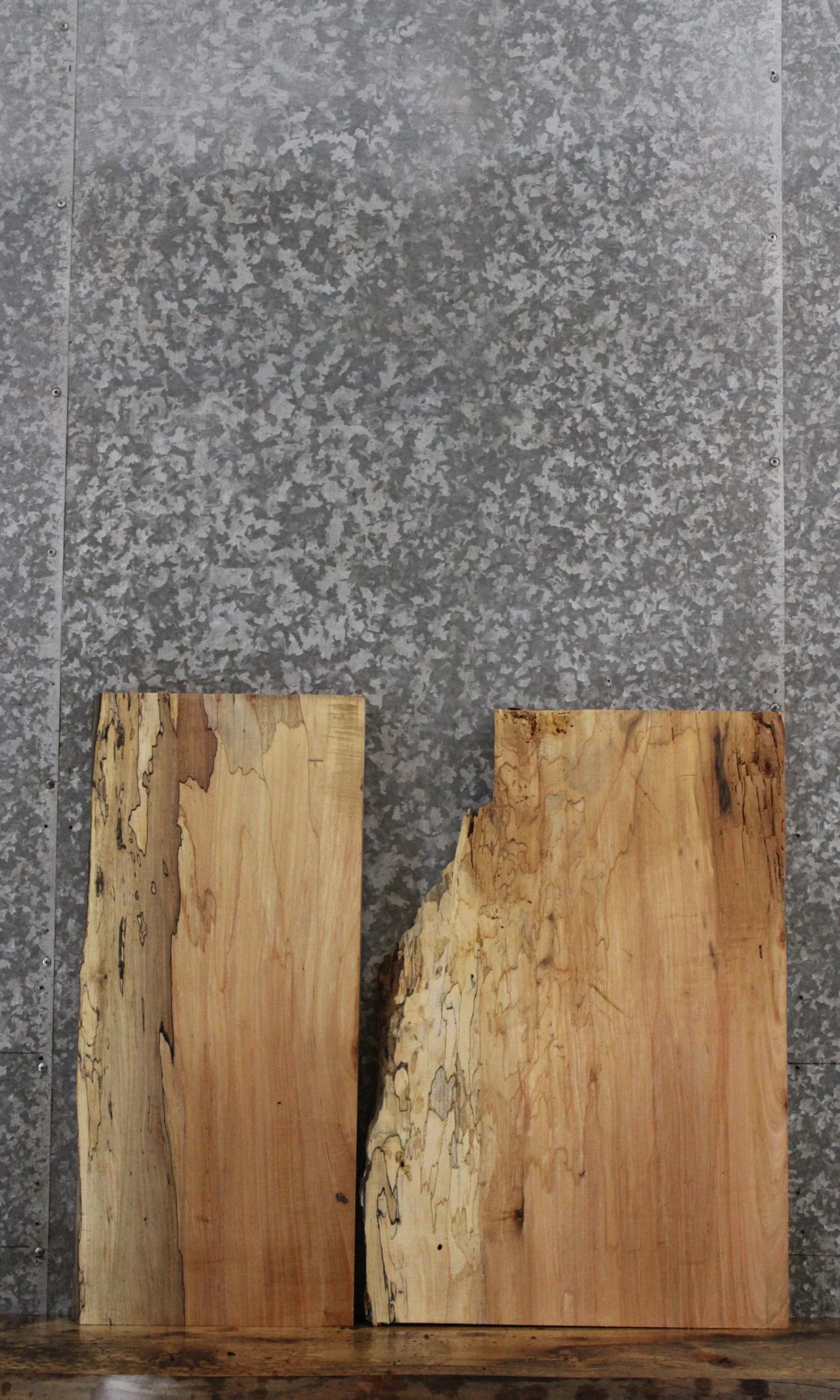 2- Live Edge Spalted Maple Taxidermy Mounts/End Table Tops 5344-5345