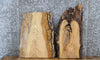 Thumbnail for 2- Ash Live Edge Charcuterie/Taxidermy Slabs 5346-5347