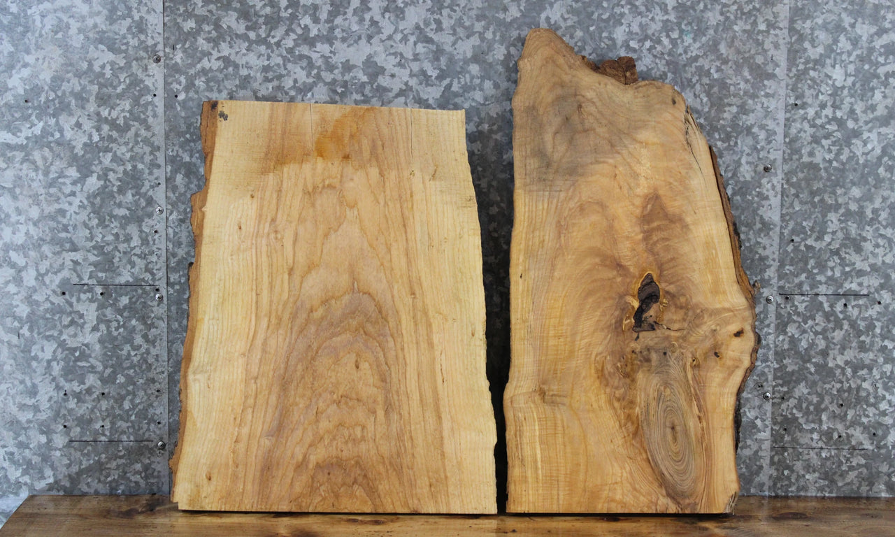 2- Ash Live Edge Charcuterie/Taxidermy Slabs 5346-5347