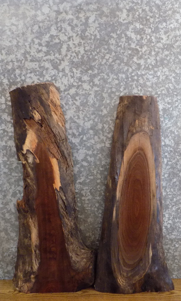 2- Black Walnut Live Edge Rustic DIY Charcuterie Boards/Slabs 5349-5350