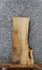 Thumbnail for Basswood Live Edge End Table/Bench Slab 5352