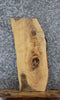 Thumbnail for Ash Live Edge Charcuterie/Taxidermy Slab 5356