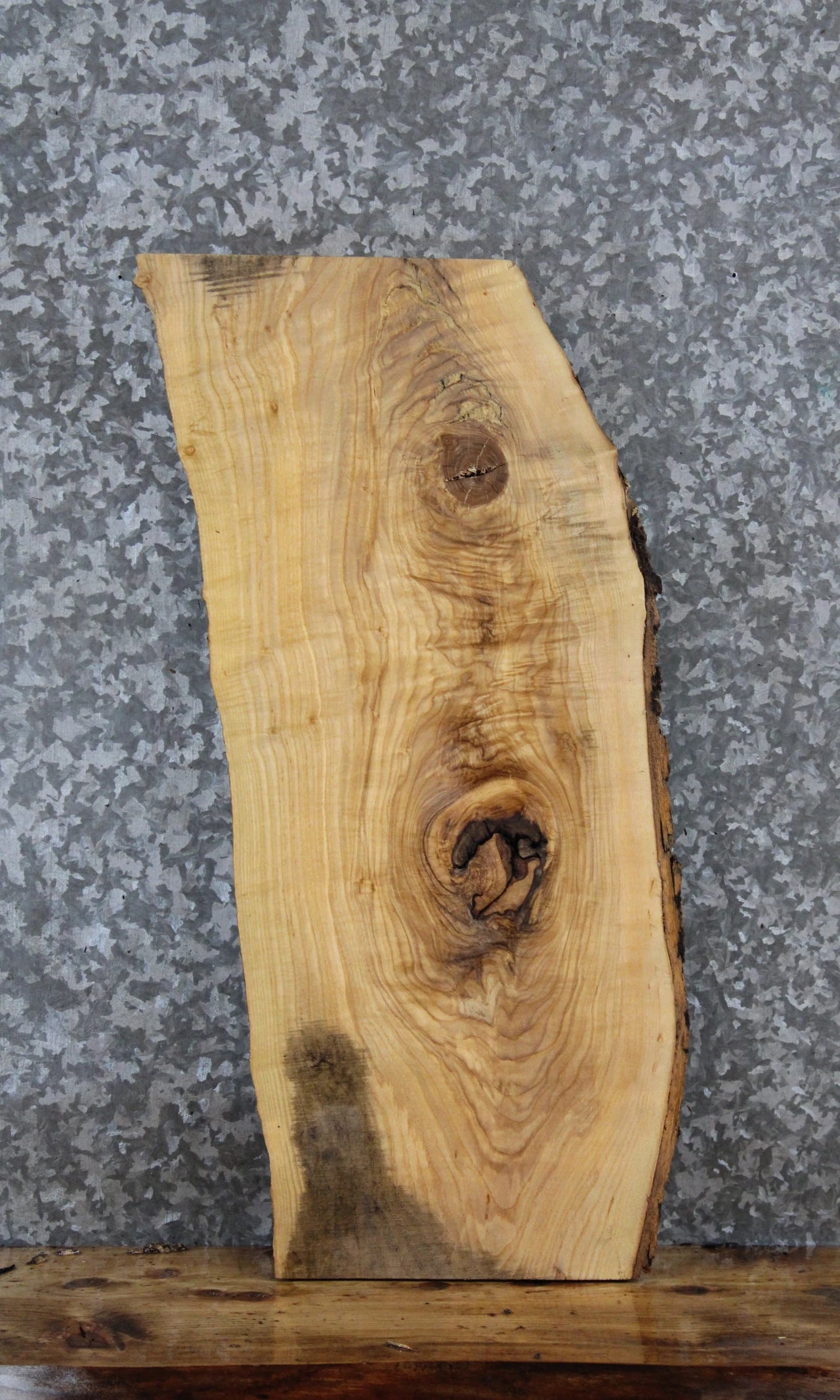 Ash Live Edge Charcuterie/Taxidermy Slab 5356