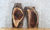 Thumbnail for 2- Live Edge Black Walnut Side/End Table Top Slabs 5357-5358