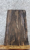 Thumbnail for Live Edge Maple Taxidermy Mount/Side Table Top Slab 5362