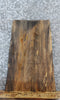 Thumbnail for Live Edge Maple Taxidermy Mount/Side Table Top Slab 5362
