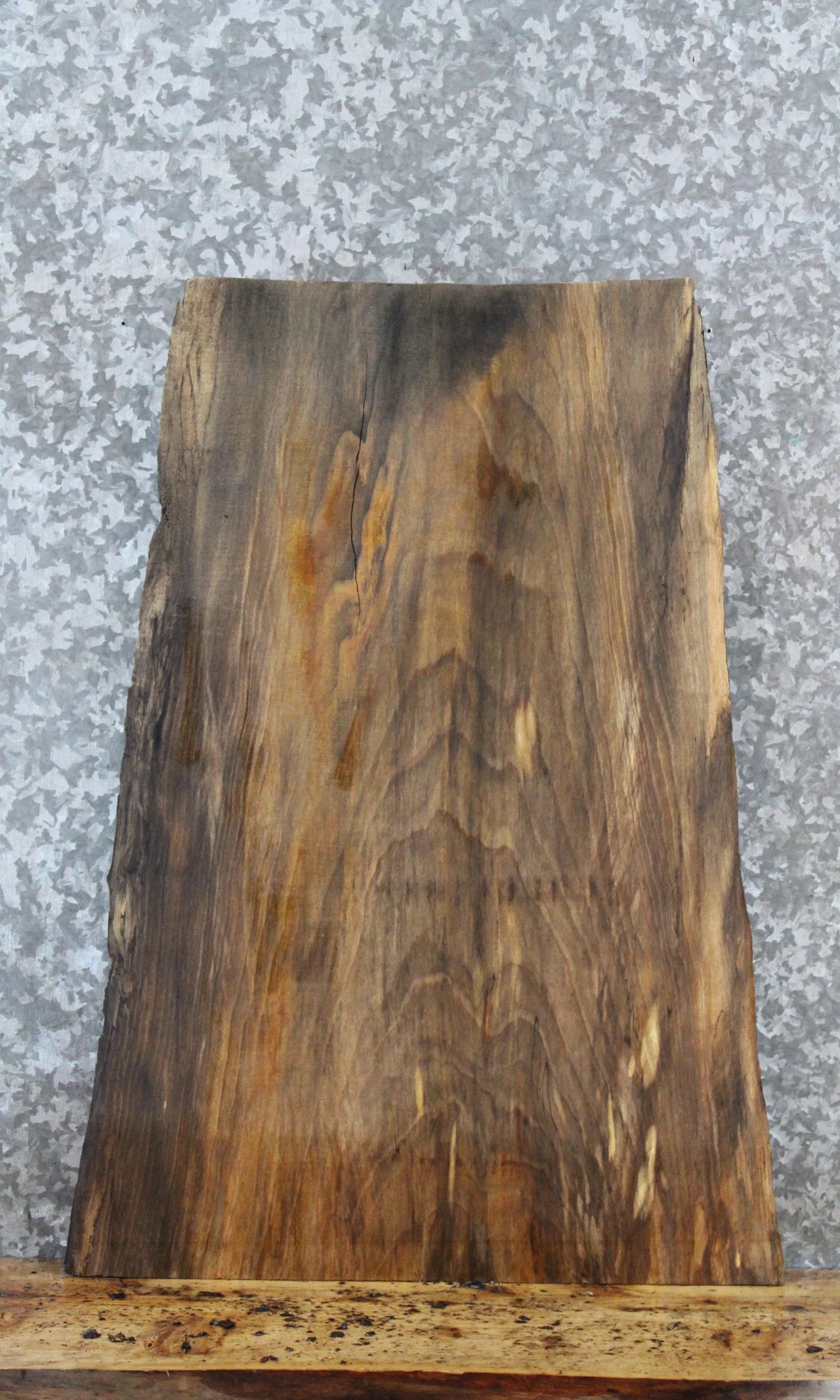 Live Edge Maple Taxidermy Mount/Side Table Top Slab 5362