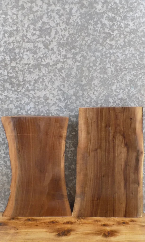 2- Live Edge Black Walnut Taxidermy Mount/Wall Shelf Slabs 5363-5364