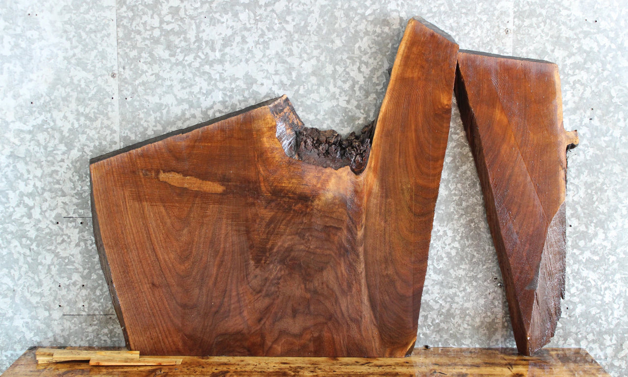 2- Live Edge Black Walnut Coffee/Sofa Table Top Slab 5369