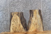 Thumbnail for 2- Live Edge Spalted Maple Taxidermy Mount/End Table Top Slabs 5384-5385