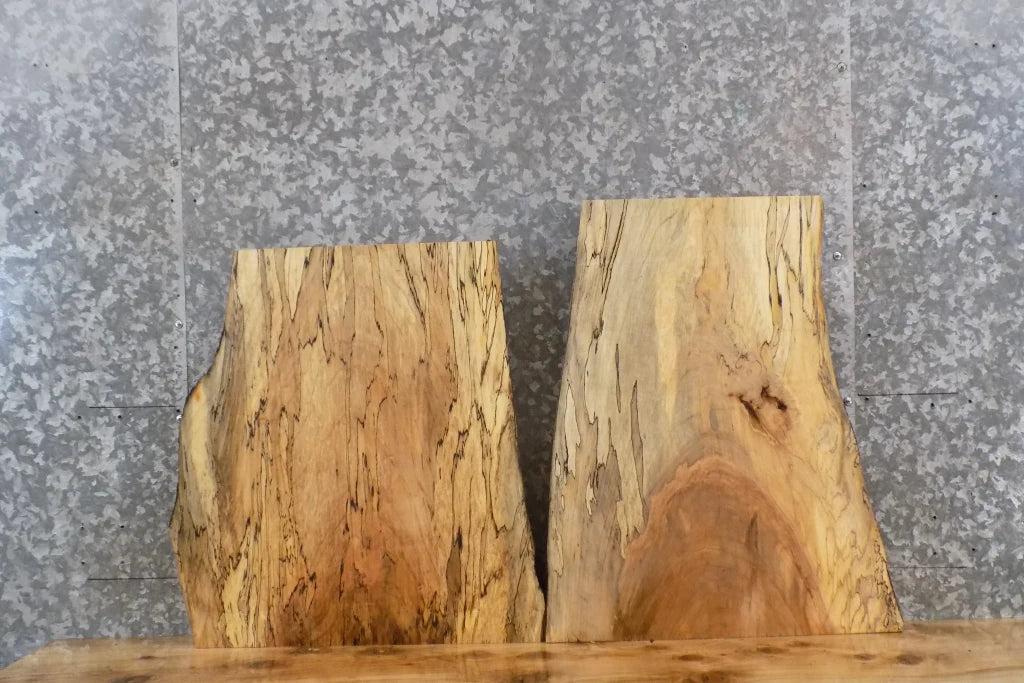 2- Live Edge Spalted Maple Taxidermy Mount/End Table Top Slabs 5384-5385