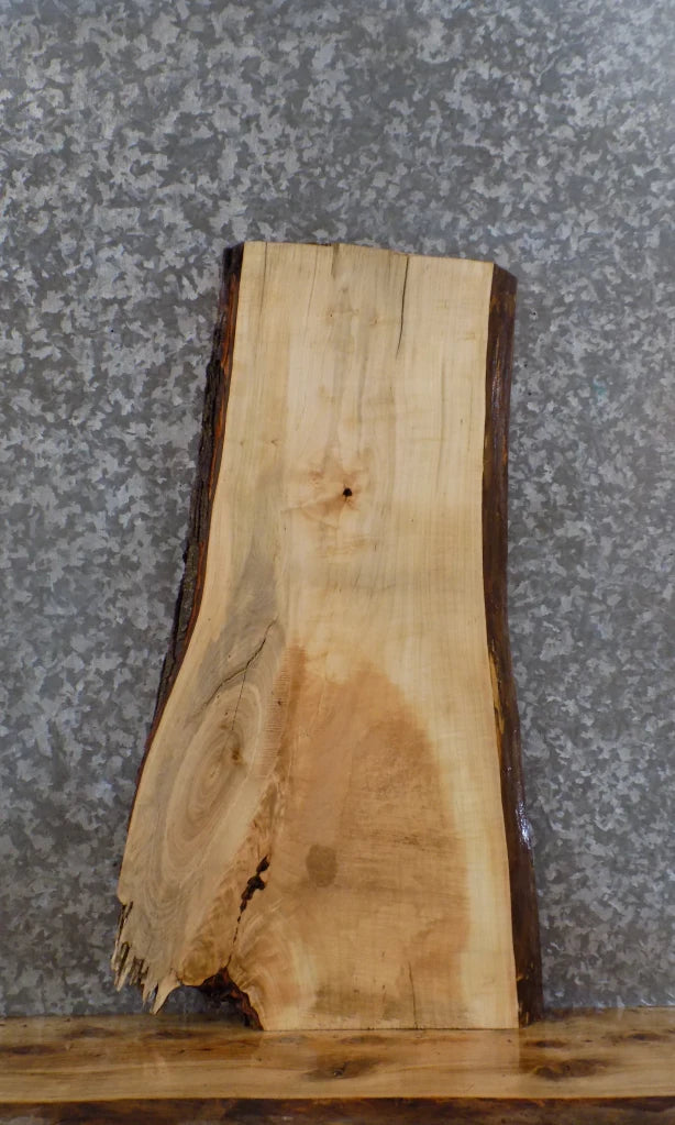 Live Edge Maple Charcuterie/Cutting Board/Butchers Block Slab 5386
