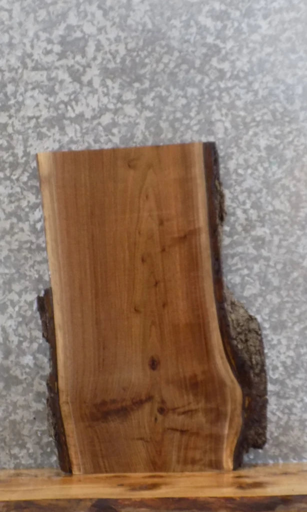Live Edge Black Walnut Charcuterie/Cheese/Cutting Board Slab 5390
