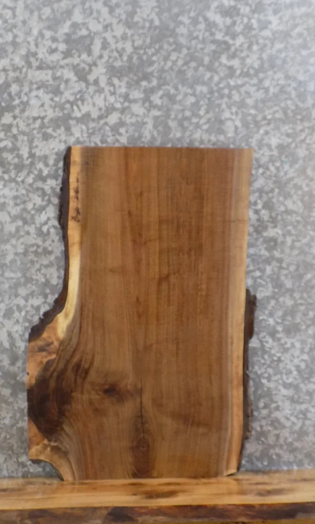 Live Edge Black Walnut Charcuterie/Cheese/Cutting Board Slab 5390