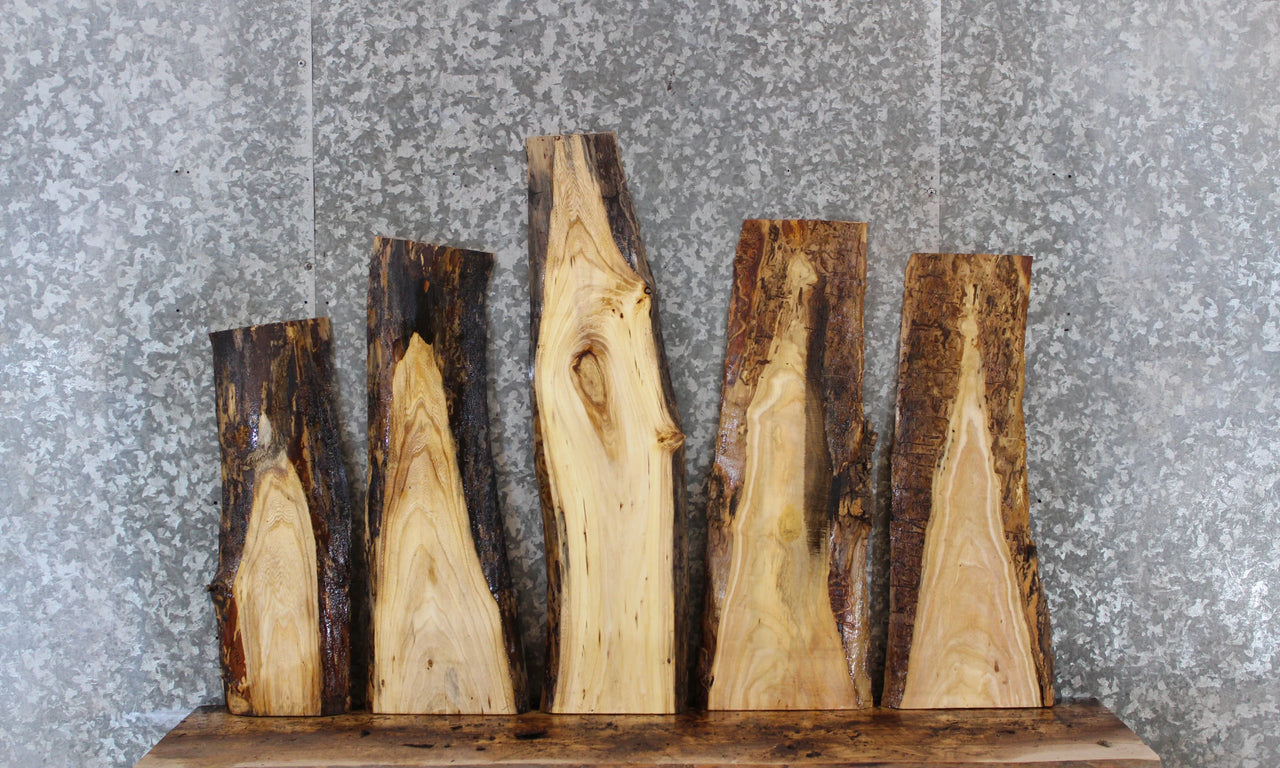 5- Natural Edge Ash Charcuterie Boards 5421-5425