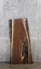 Thumbnail for Walnut Live Edge Desk/Coffee Table Slab 542