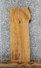 Thumbnail for Live Edge Red Oak Console Table Top Slab/ Floating Shelf 543