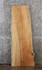 Thumbnail for Maple Live Edge Coffee Table Top/Console Table Top 544