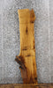 Thumbnail for Live Edge Ash Wall Shelf/Side Table Slab 544