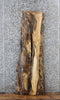 Thumbnail for Live Edge Spalted Maple Side/Console Table Top Slab 549