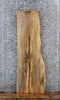 Thumbnail for Live Edge Spalted Maple Side/Console Table Top Slab 549