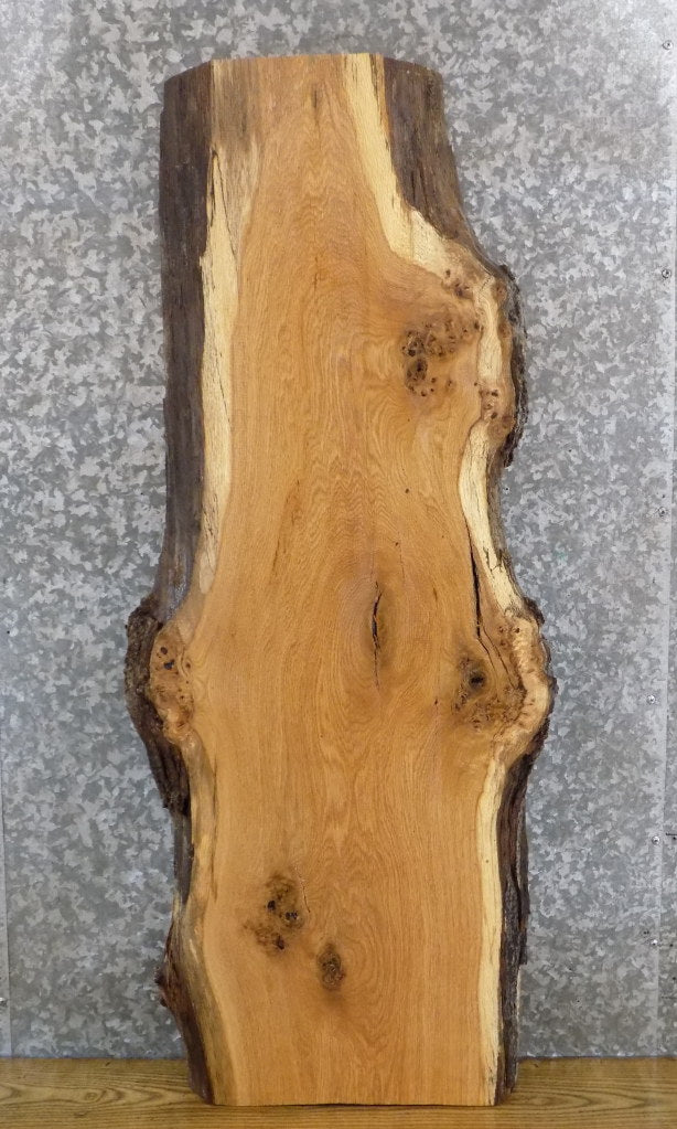 White Oak Salvaged Live Edge Coffee/Side Table Top Wood Slab 550