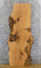 Thumbnail for White Oak Salvaged Live Edge Coffee/Side Table Top Wood Slab 550
