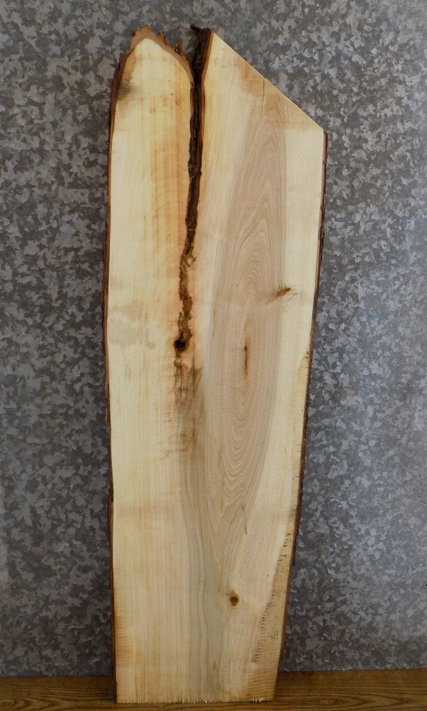 Salvaged Live Edge Bark Maple Side/End Table Top Slab 551
