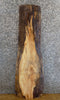 Thumbnail for Natural Edge Rustic Maple Sofa/Coffee Table Top Wood Slab 556