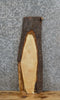 Thumbnail for Live Edge Maple Reclaimed Wall Shelf/Bar Top/Mantle Slab 557