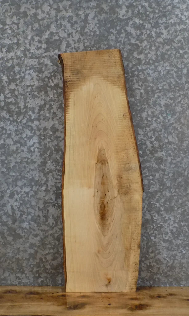 Live Edge Maple Reclaimed Wall Shelf/Bar Top/Mantle Slab 557