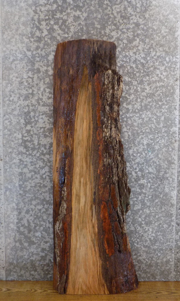 Rustic Live Edge Bark White Oak Sofa/Coffee Table Top Slab 558