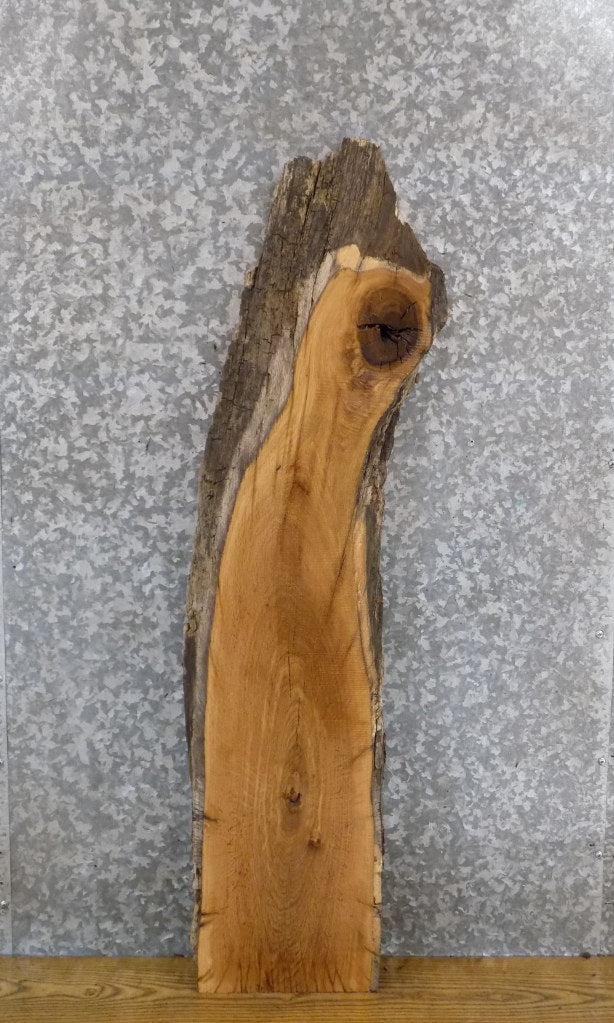 Salvaged Live Edge White Oak Accent/Side Table Top Slab 559