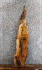 Thumbnail for Live Edge White Oak Side Table Top/Wall Shelf Slab 560