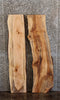 Thumbnail for 2- Live Edge Maple Wood Slab/Side Table/Wall Shelf 561,565