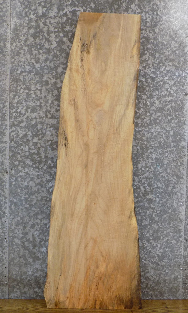 Live Edge Maple Coffee/Sofa Table Top Wood Slab CLOSEOUT 563