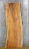 Thumbnail for Salvaged Live Edge Ash Coffee Table Top Wood Slab CLOSEOUT 564