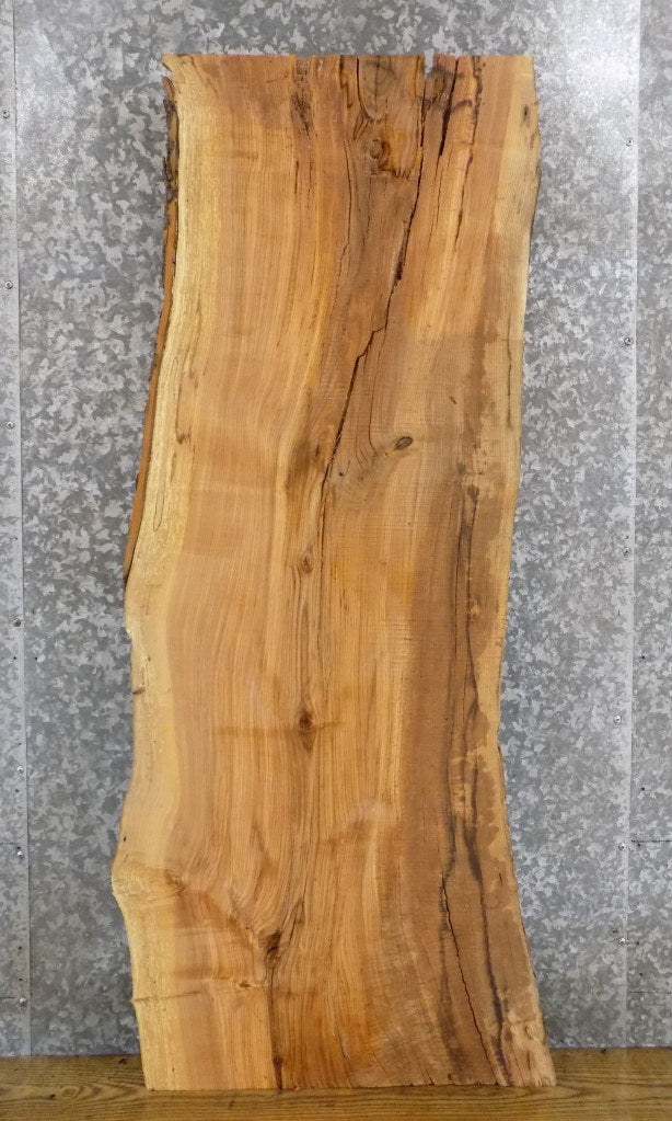 Salvaged Live Edge Ash Coffee Table Top Wood Slab CLOSEOUT 564