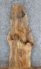 Thumbnail for Live Edge Spalted Maple Side/Sofa Table Top 568