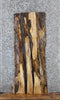 Thumbnail for Live Edge Spalted Maple Side/Sofa Table Top Slab 569