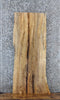 Thumbnail for Live Edge Spalted Maple Side/Sofa Table Top Slab 569